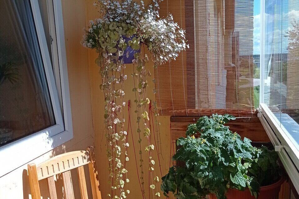3-room apartment for rent — Tartu, Ropka tööstuse, Vasara tn 29 — photo 3