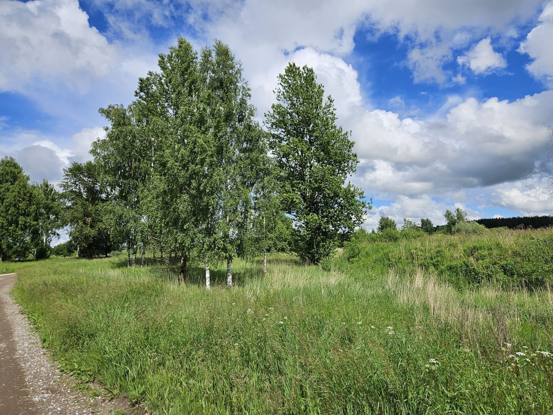7-room house — Tartu, Jaamamõisa, Juure tn 3 — photo 4