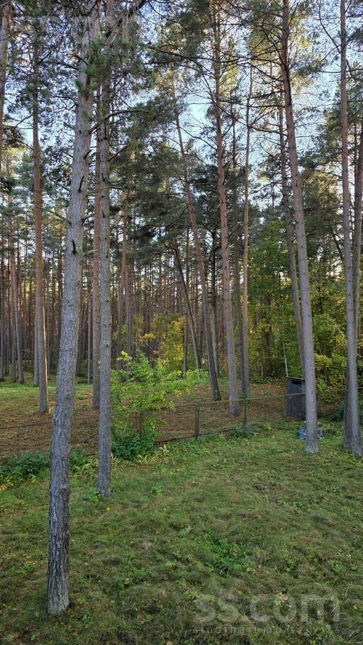House for sale — Jūrmala, Melluži, Silu iela 28 — photo 10