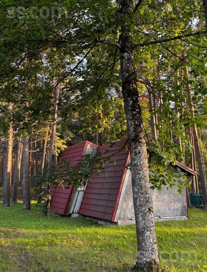 House for sale — Jūrmala, Melluži, Silu iela 28 — photo 4