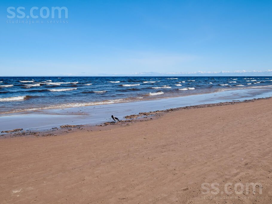 1-room apartment for rent — Jūrmala, Kauguri, Tallinas 11 — photo 4