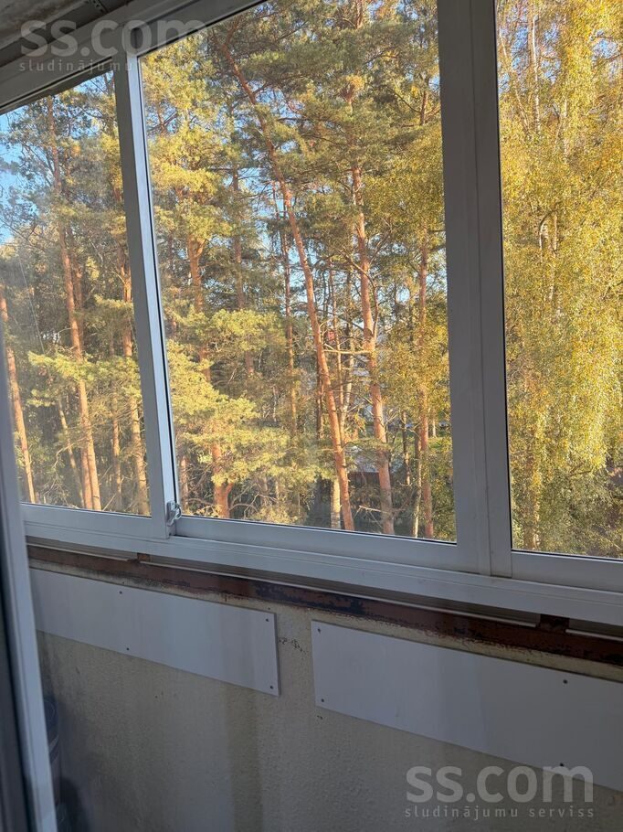 2-room apartment for rent — Jūrmala, Kauguri, Tērbatas 46 — photo 14
