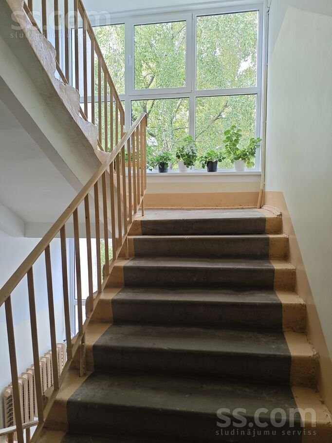 2-room apartment for rent — Jūrmala, Dubulti, Ceriņu iela 32 — photo 14