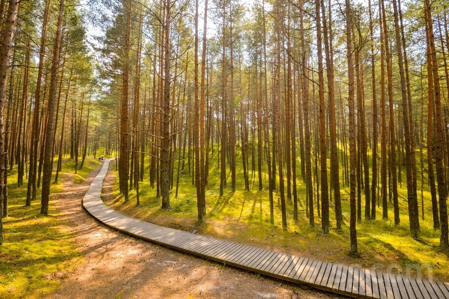 1-room apartment for rent, Jūrmala, Buļļuciems, Lašu iela 7, photo 9