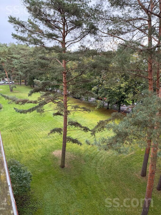 1-room apartment for rent, Jūrmala, Buļļuciems, Lašu iela 7, photo 8