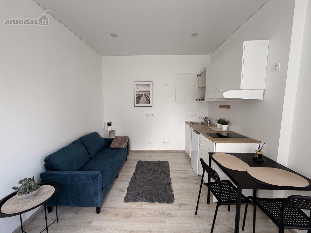 2 kambarių buto nuoma — Kaunas, Petrašiūnai, Naglio g. — photo 1