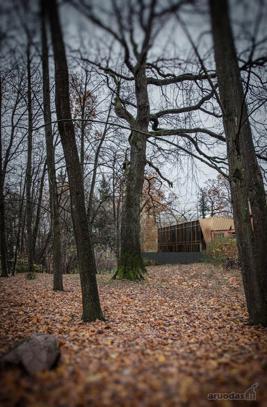 1 kambarių namas - Kaunas, Žaliakalnis, Joninių g.