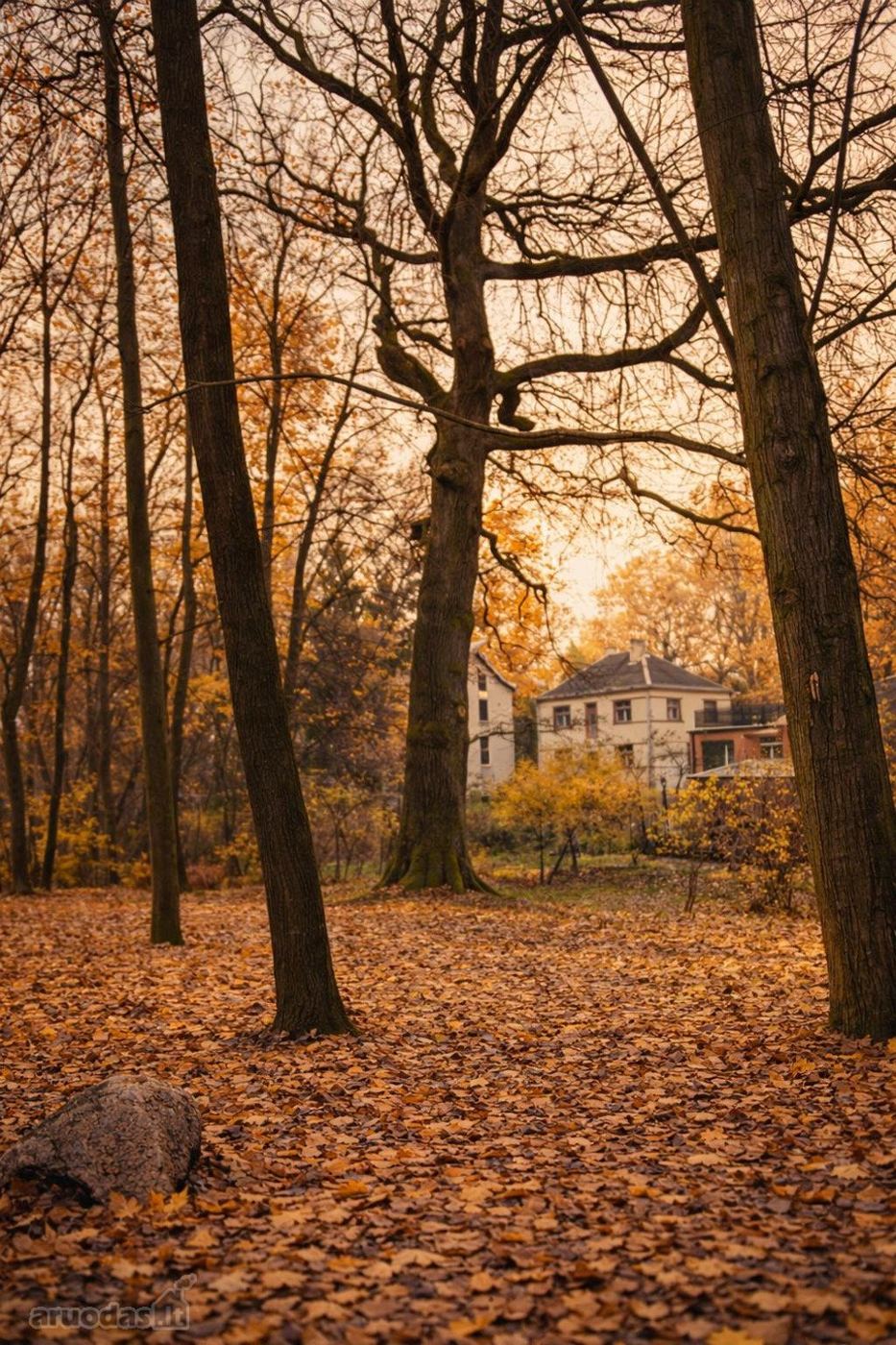 1 kambarių namas - Kaunas, Žaliakalnis, Joninių g.