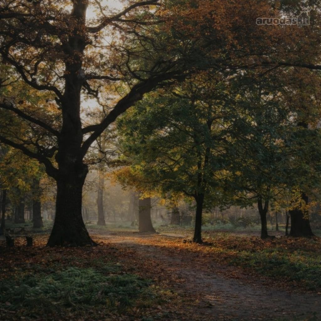 1 kambarių namas - Kaunas, Žaliakalnis, Joninių g.