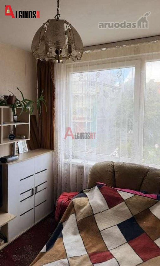 Klaipėda, Sportininkai, Pušyno g., 1 kambario butas — photo 4