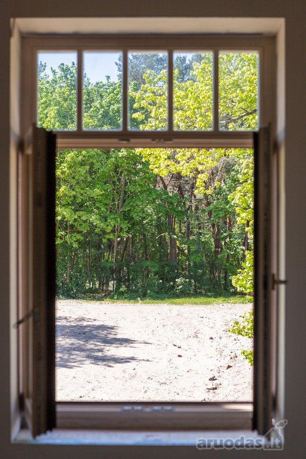 1 kambario butas — Klaipėda, Vėtrungė, Smiltynės g. — photo 19