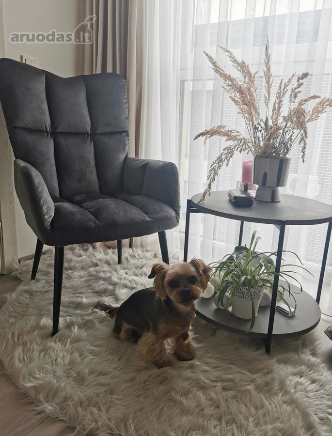 2-room apartment for sale — Palanga, Vėžių g. — photo 18