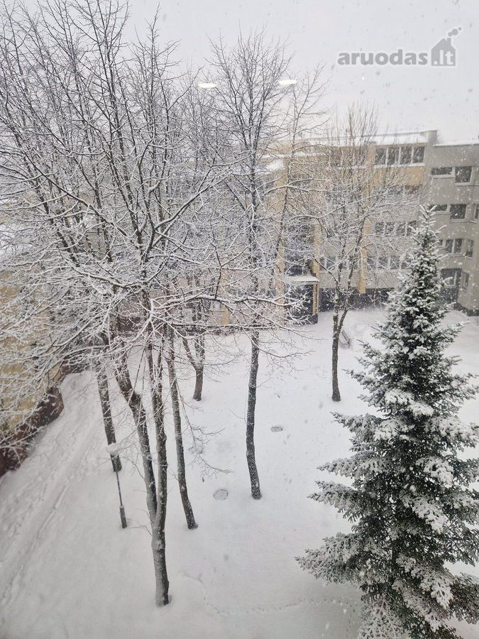 2-room apartment for sale — Palanga, Sodų g. — photo 32