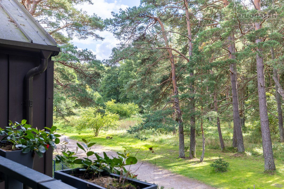 Semi-detached house for sale — Palanga, Vanagupė, Kontininkų g. — photo 18