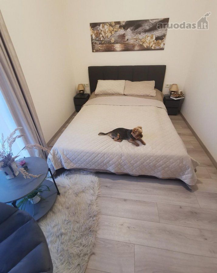 2-room apartment for sale — Palanga, Vėžių g. — photo 17