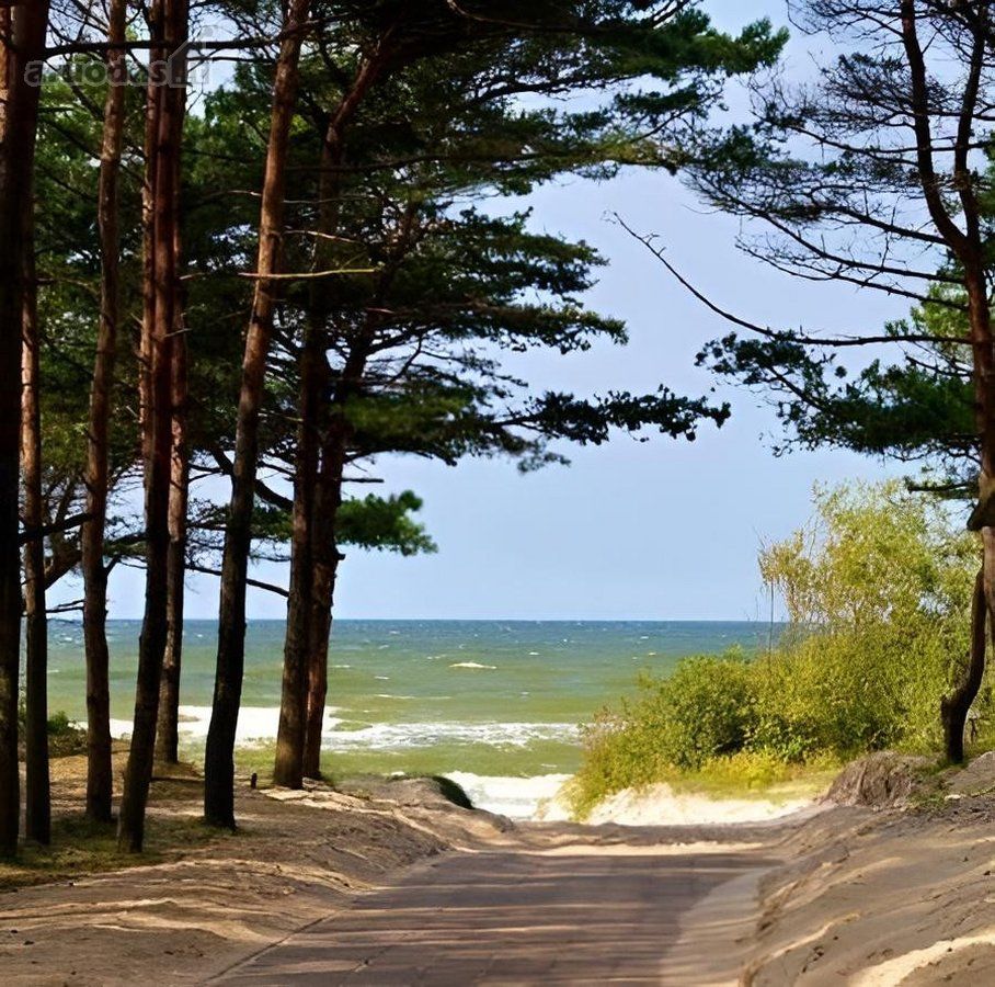 House for rent — Palanga, Vanagupė, Kontininkų g. — photo 36