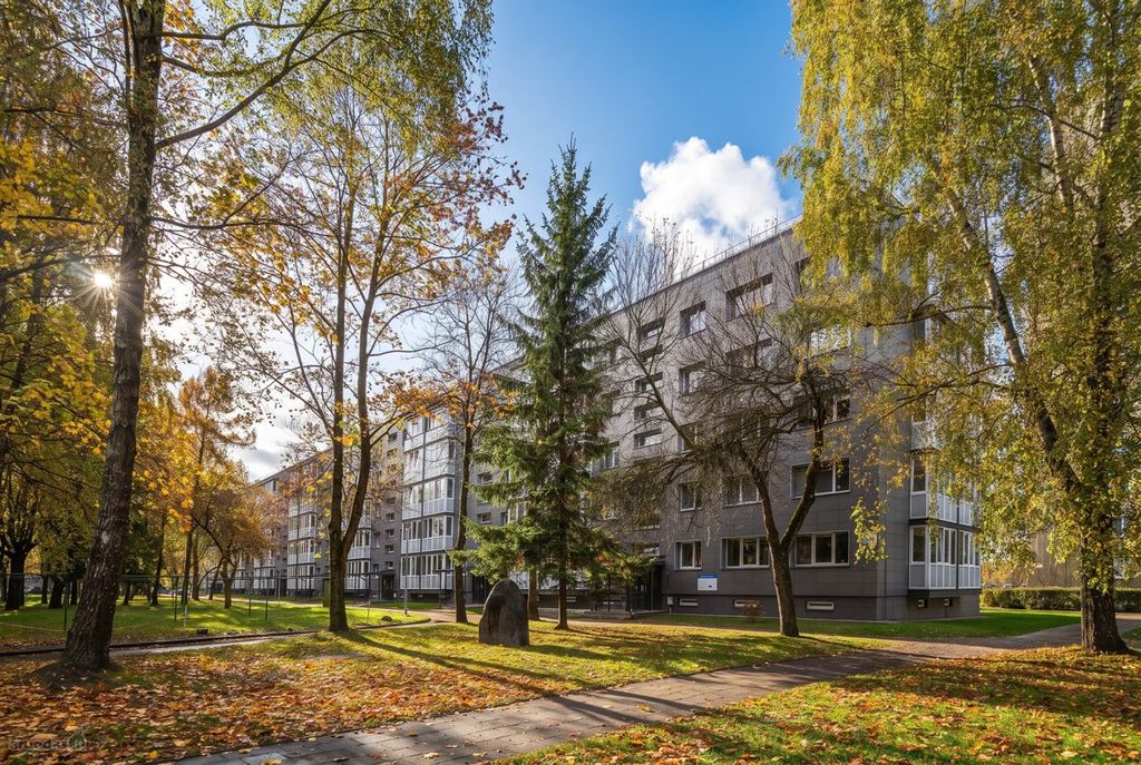 1-room apartment for sale — Panevėžys, Tulpės, Tulpių g. — photo 1
