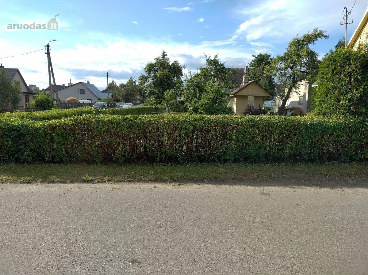 Medinio namo dalis — Panevėžys, Centras, J. Zikaro g. — photo 5