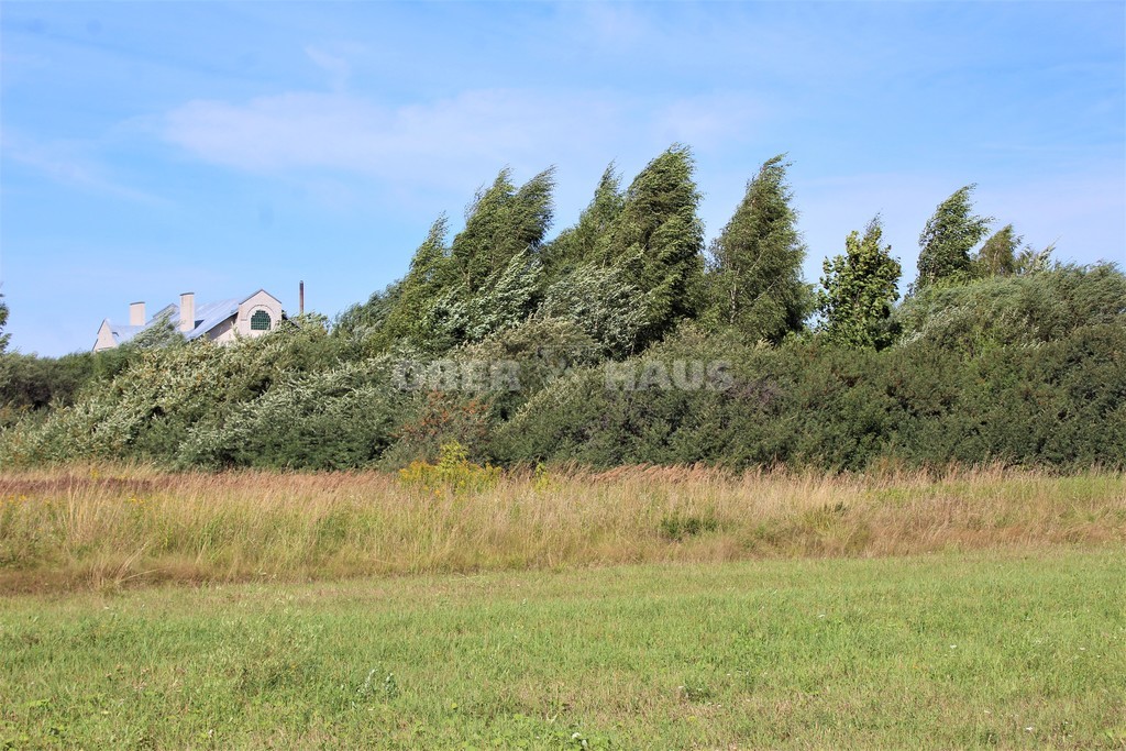 Sklypas — Panevėžys, Rožės, Liublino g. — photo 3