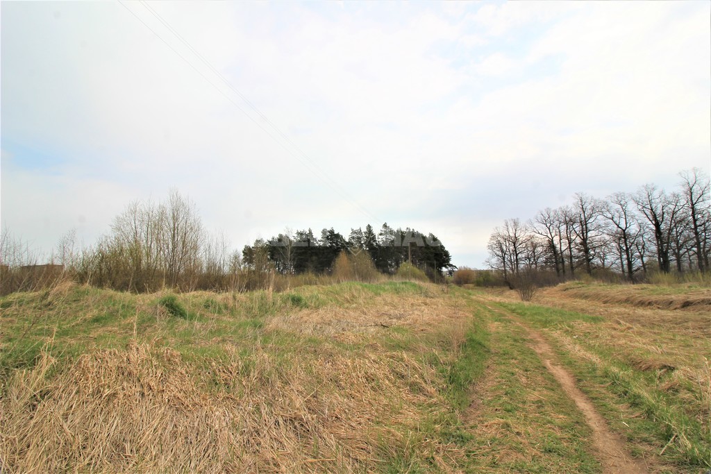 Sklypas — Panevėžys, Kniaudiškiai, Vilkelių g. — photo 7