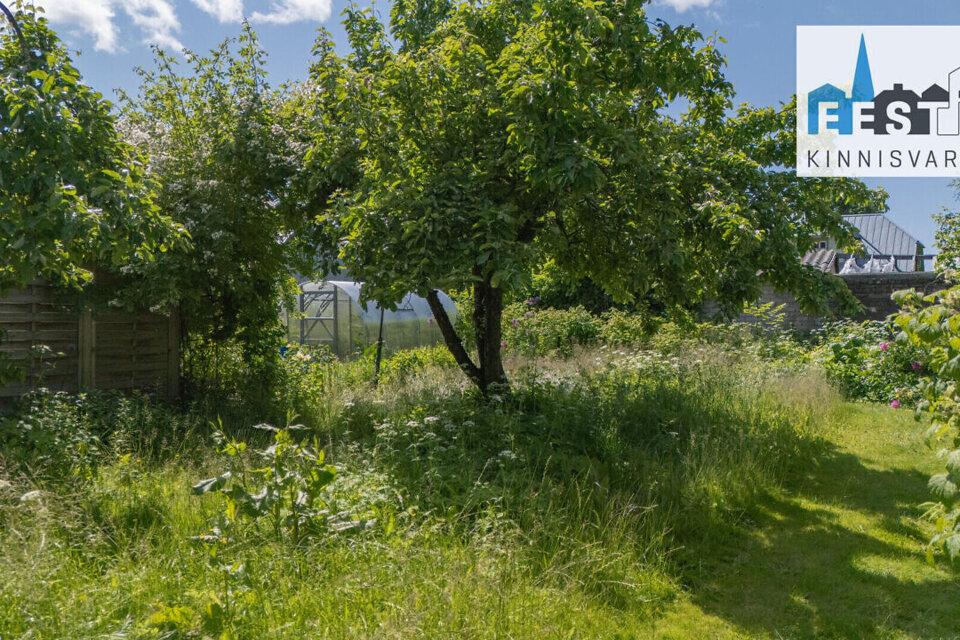 1-room apartment for rent — Pärnu, Kesklinn, Suur-Posti tn 12/1 — photo 4