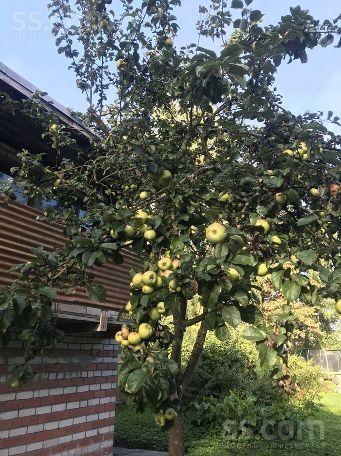 House for sale — Rīga, Šampēteris-Pleskodāle, Šampētera 94a — photo 8