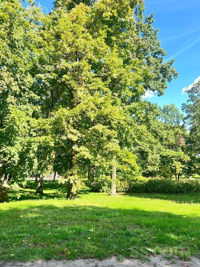 2-room apartment for rent — Rīga, Iļģuciems, Dzirciema 52 — photo 8