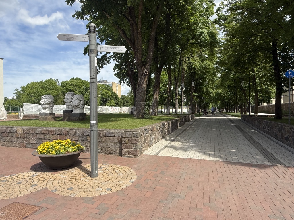 Butas, Vilniaus g., Šiauliai — photo 4