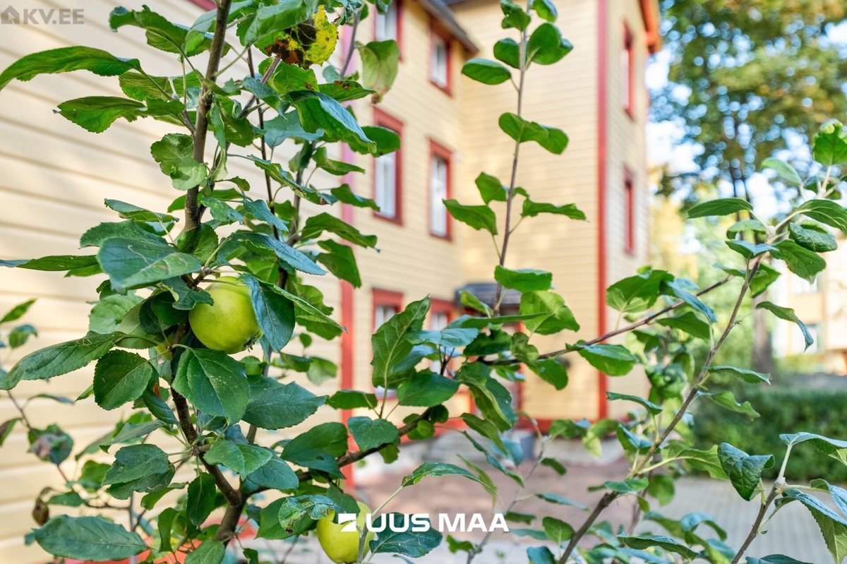 2-room apartment for sale — Tallinn, Kesklinn, Koidu 61 — photo 32