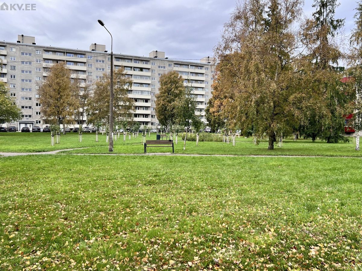 1-room apartment for rent — Tallinn, Mustamäe, E. Vilde tee 100 — photo 20