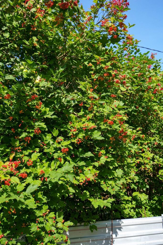 House for sale — Vilnius, Salininkai, Kelmijos Sodų 41-oji g. — photo 17