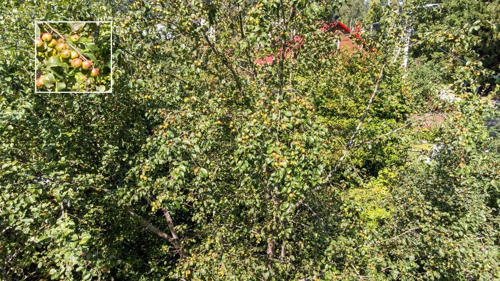 House for sale — Vilnius, Salininkai, Kelmijos Sodų 41-oji g. — photo 21