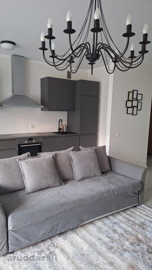 2 kambarių buto nuoma — Vilnius, Šnipiškės, S. Žukausko g. — photo 10