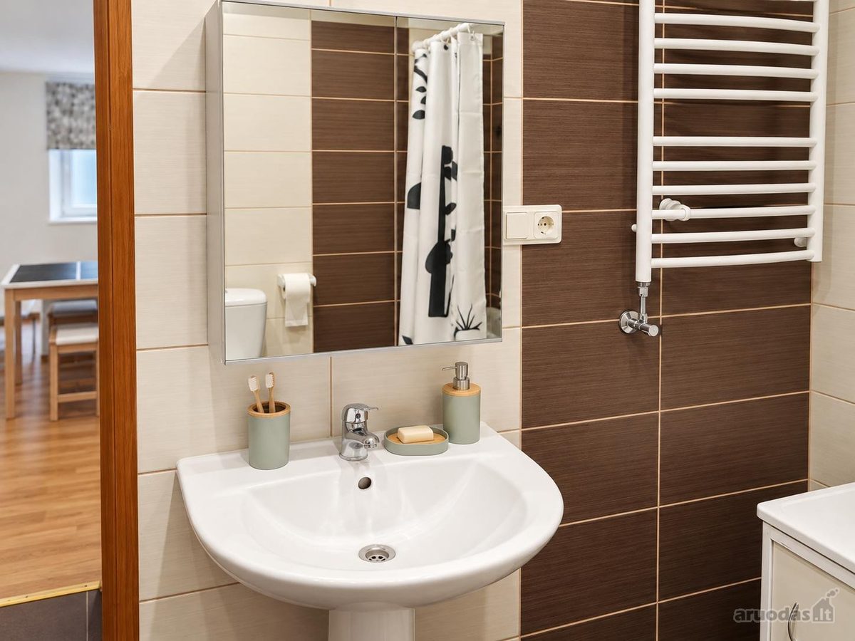 1-room apartment for rent — Vilnius, Antakalnis, P. Vileišio g. — photo 6