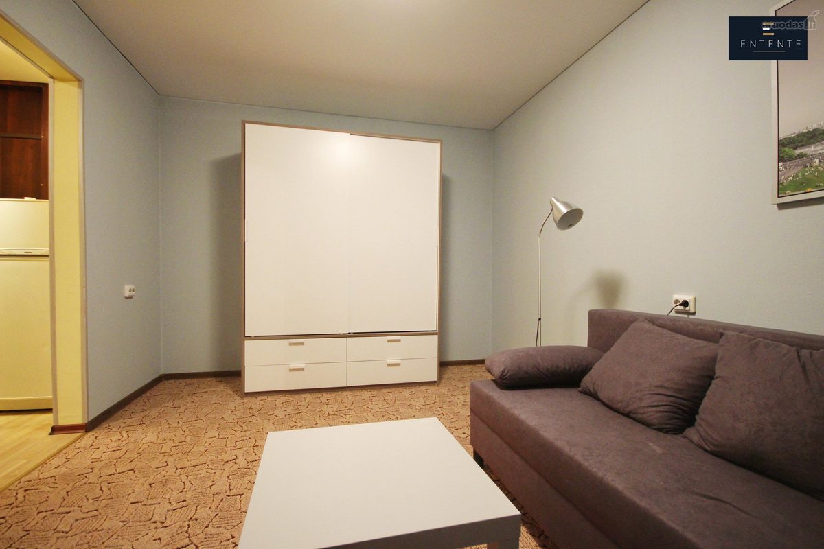 1-room apartment for rent — Vilnius, Žirmūnai, Žirmūnų g. — photo 3