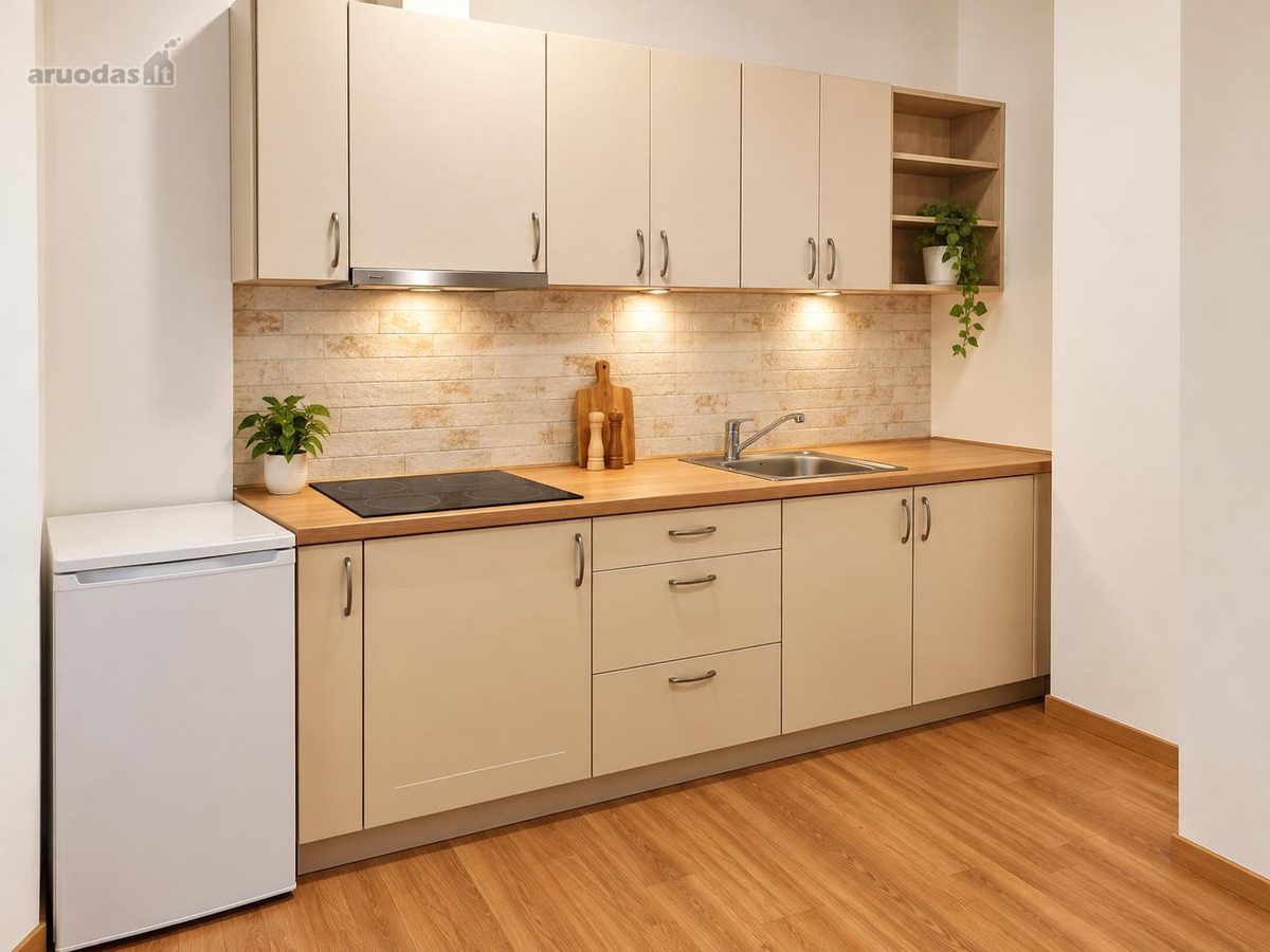 1-room apartment for rent — Vilnius, Antakalnis, P. Vileišio g. — photo 7