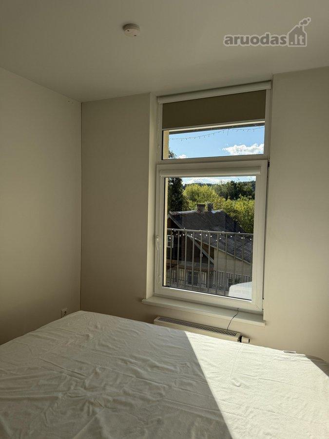 2 kambarių buto nuoma — Vilnius, Šnipiškės, Širvintų g. — photo 11